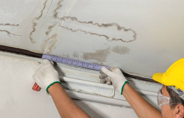 Reliable Water Damage contractor in Livingston, AL by Water Damage Irwin